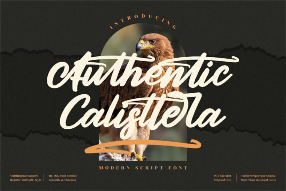 Authentic Calisttera: The Bold Script Font for Makers