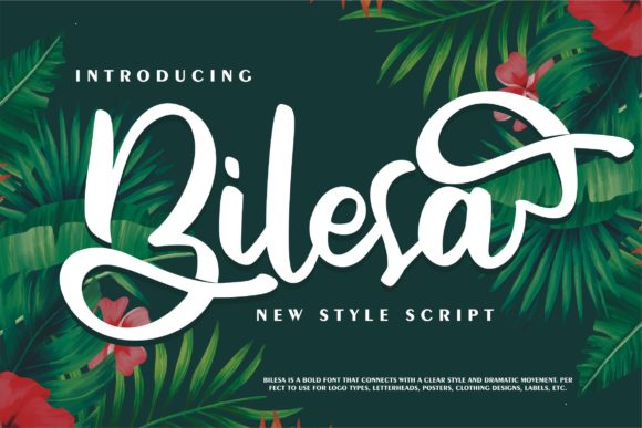 Bilesa: A Playful Script Font for Digital Branding