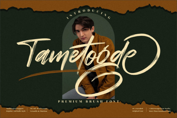 Designing with Tametogde: A Bold Script for Modern Web Layouts