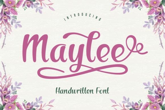 Maylee: A Ravishing Script Font for Promo Campaigns