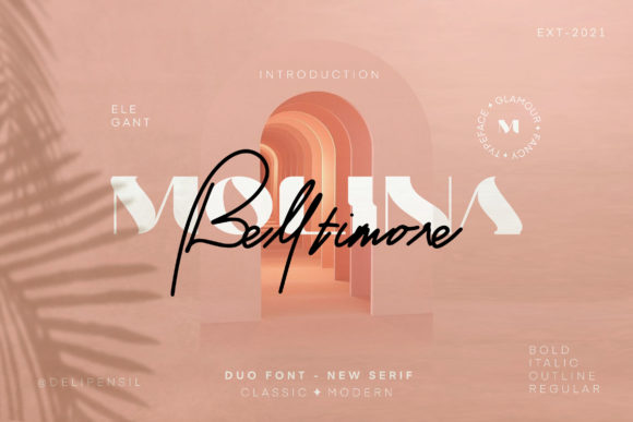 Molina Font Review: Elegant Script and Serif Pairing