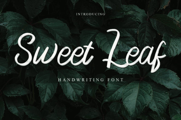 Sweet Leaf Font Review